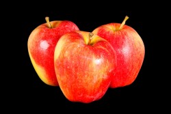Compra Fruta de Temporada | MANZANA ROYAL GALA I | FrutasNieves