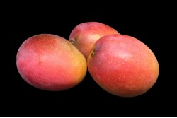 Compra Fruta de Temporada | MINI MANGO | FrutasNieves