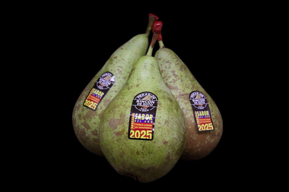 Compra Fruta de Temporada | PERA CONFERENCIA RINCÓN DE SOTO | FrutasNieves