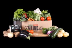 CAJA VERDURA SELECTA | FrutasNievesOnline