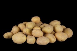 Compra Verdura, Hortalizas de Temporada | PATATA EGIPTO| FrutasNieves